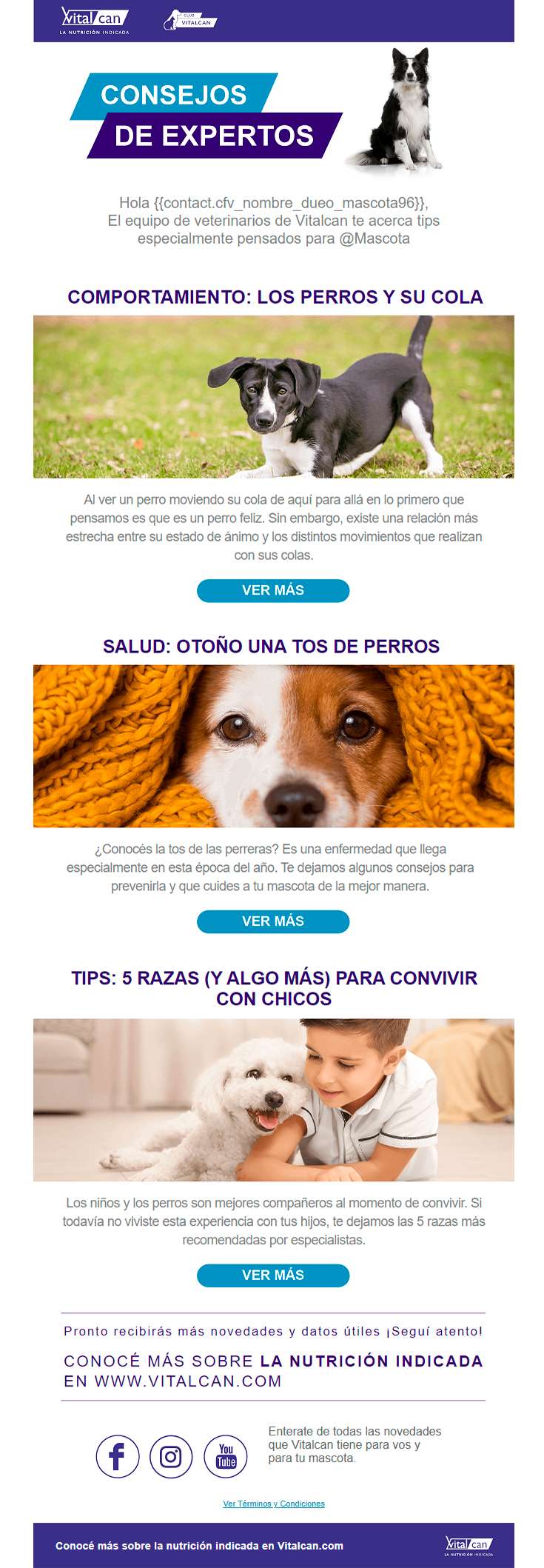 Newsletter de Vital Can